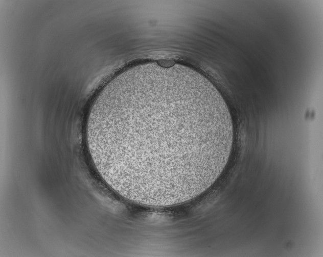 X0000115000303200911161543