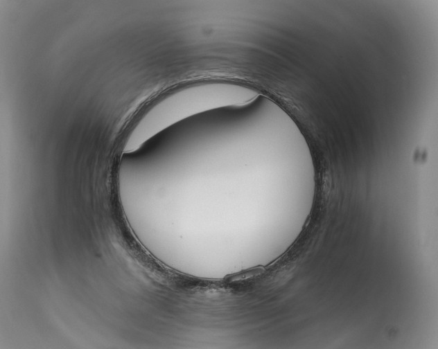 X0000115000304200911161543