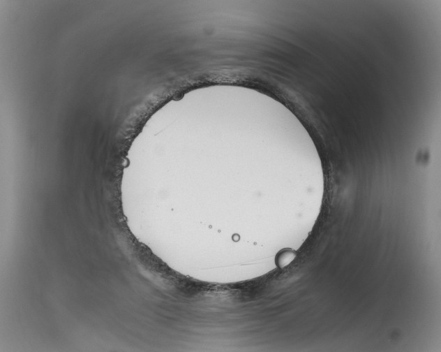 X0000115000307200911161543