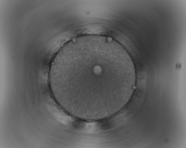 X0000115000309200911161543