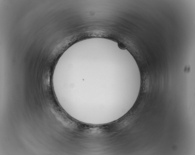 X0000115000310200911161543