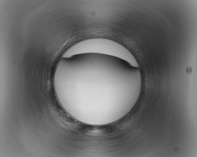 X0000115000312200911161543