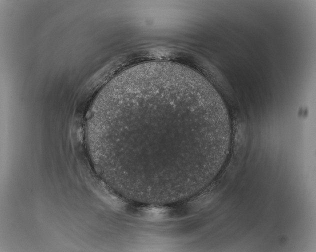 X0000115000313200911161543