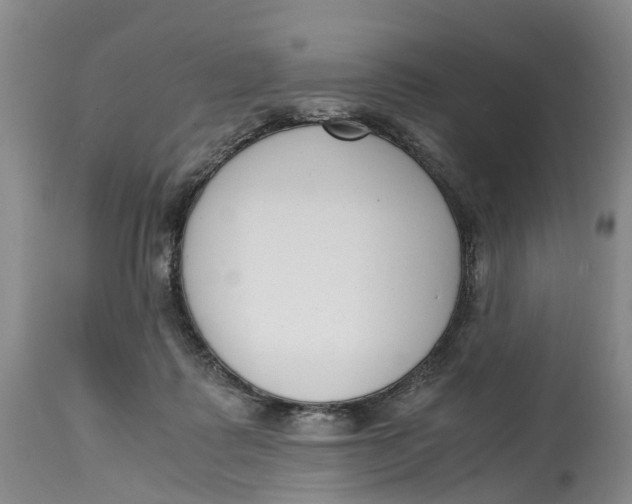 X0000115000315200911161543