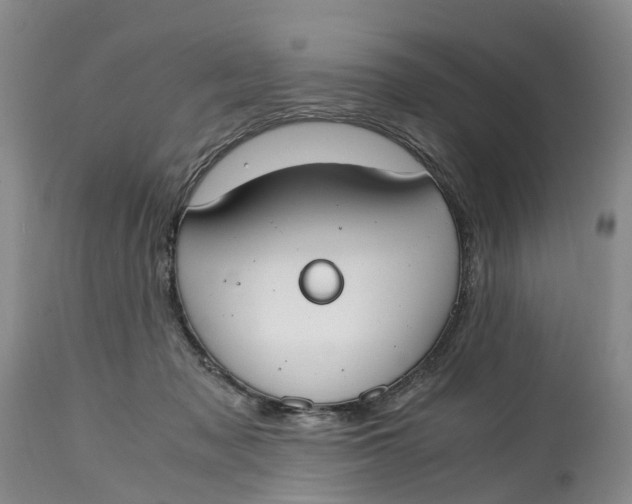 X0000115000317200911161543