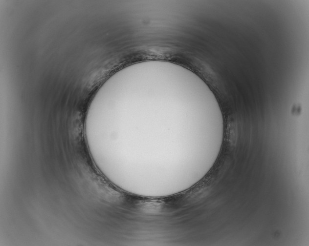 X0000115000318200911161543