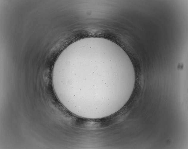 X0000115000319200911161543