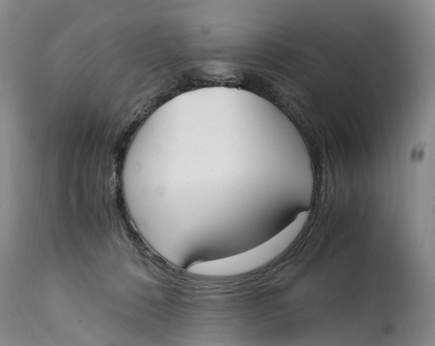 X0000115000320200911161542