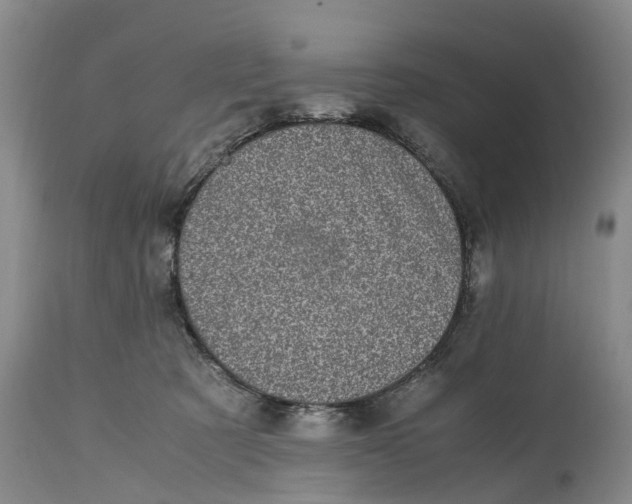 X0000115000321200911161542