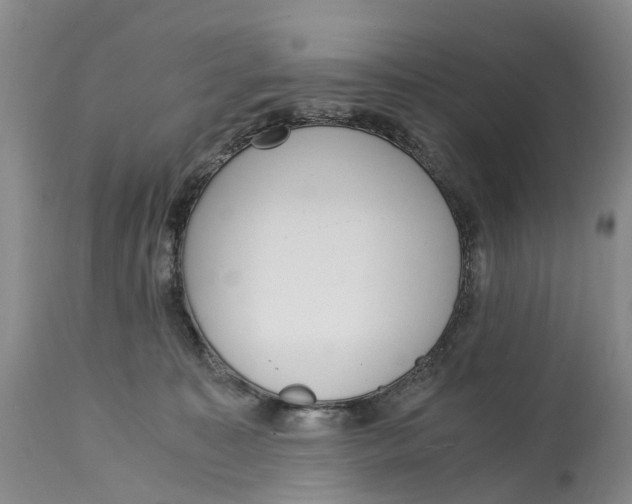 X0000115000323200911161542