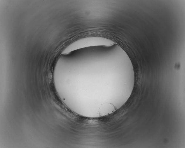 X0000115000324200911161542