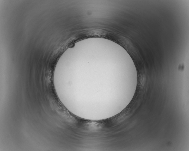 X0000115000326200911161542