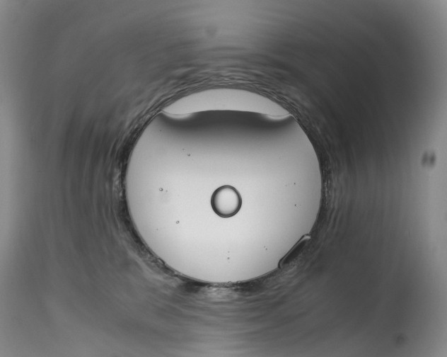 X0000115000327200911161542