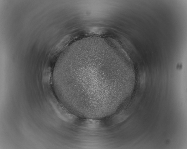 X0000115000328200911161542