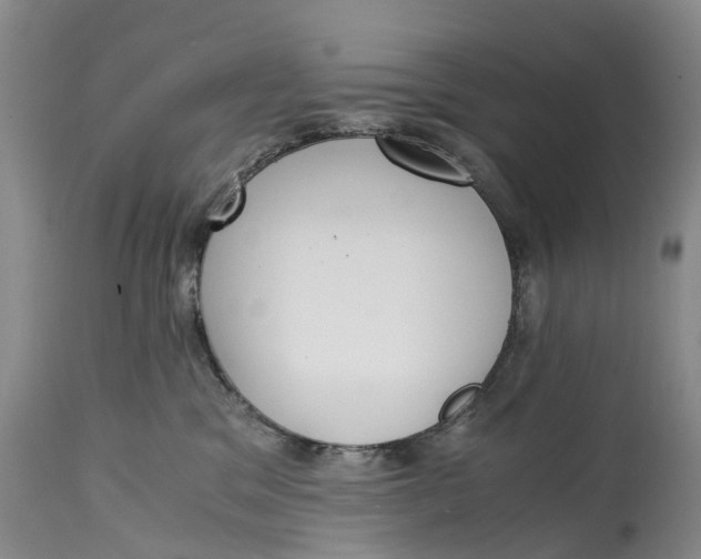 X0000115000329200911161542