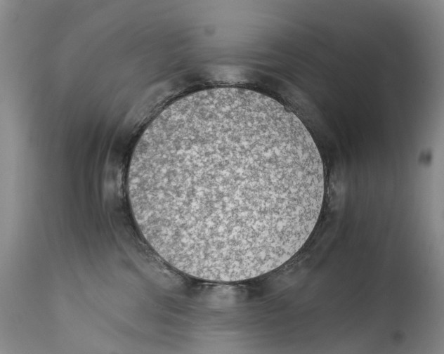 X0000115000330200911161542