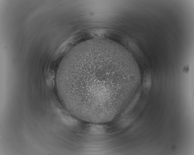 X0000115000332200911161542