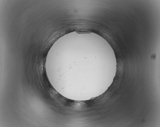 X0000115000333200911161542