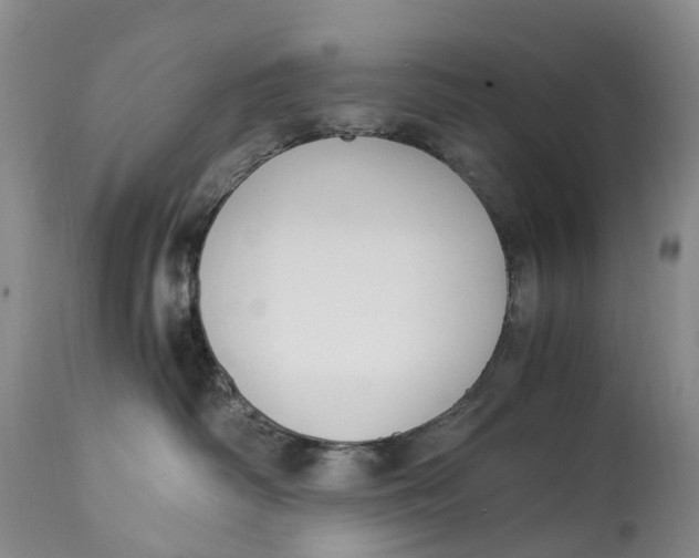 X0000115000334200911161542