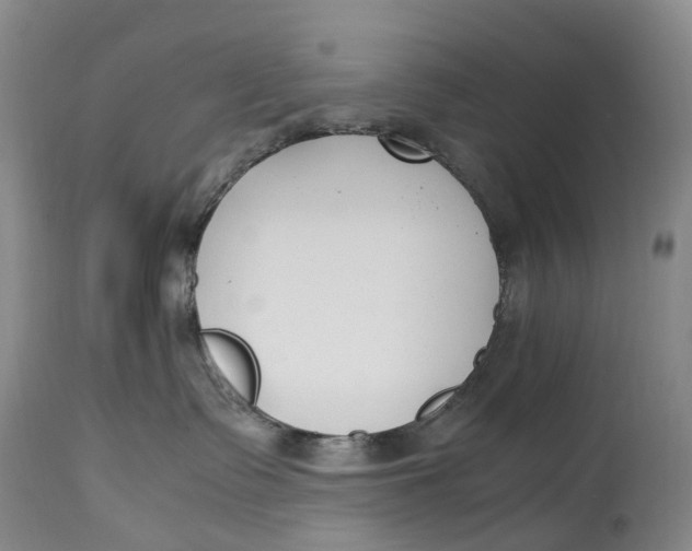 X0000115000335200911161542