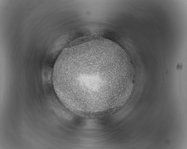 X0000115000336200911161542