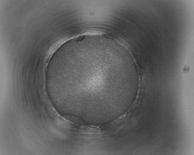 X0000115000337200911161542