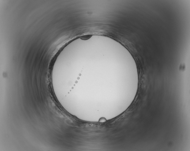 X0000115000338200911161542