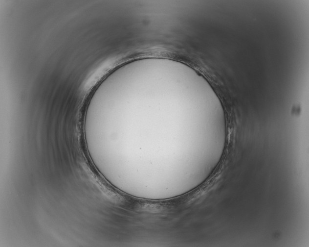 X0000115000341200911161542