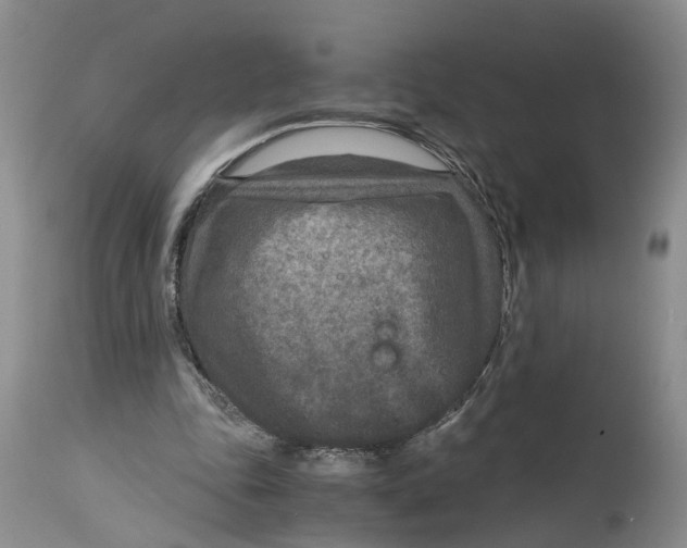 X0000115000343200911161542