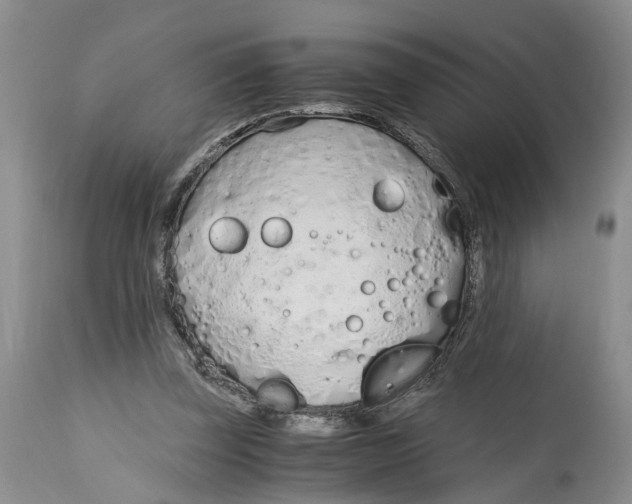 X0000115000347200911161542