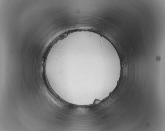 X0000115000350200911161542