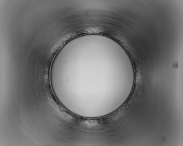 X0000115000353200911161542