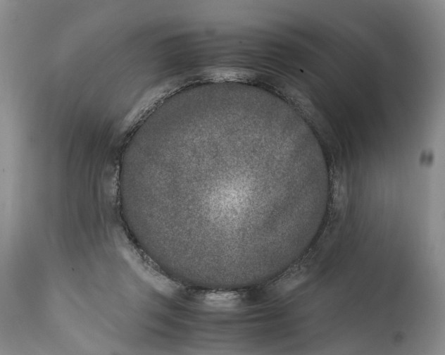 X0000115000357200911161542