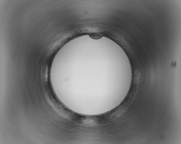 X0000115000358200911161542