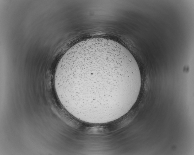 X0000115000366200911161542