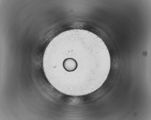 X0000115000370200911161542