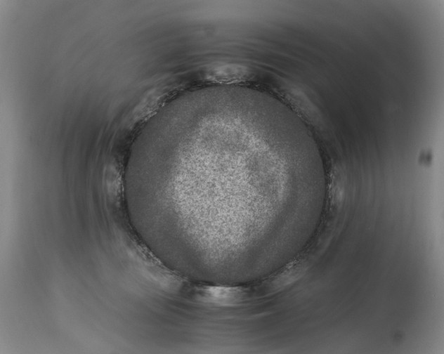 X0000115000371200911161542