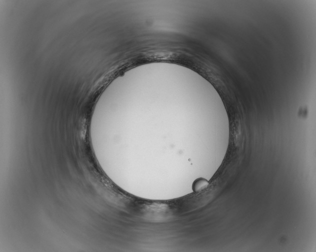 X0000115000374200911161542