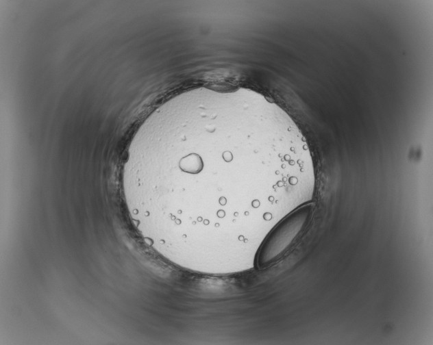 X0000115000375200911161542