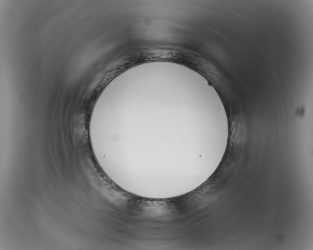 X0000115000377200911161542