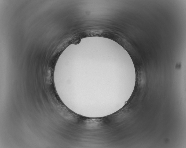 X0000115000378200911161542