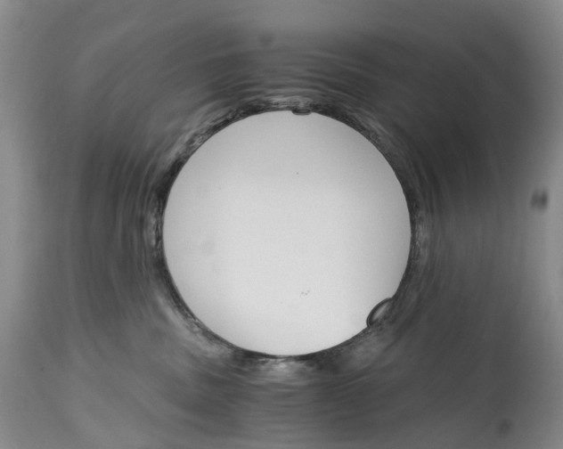 X0000115000379200911161542