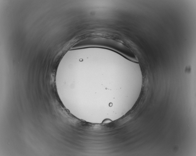 X0000115000382200911161542