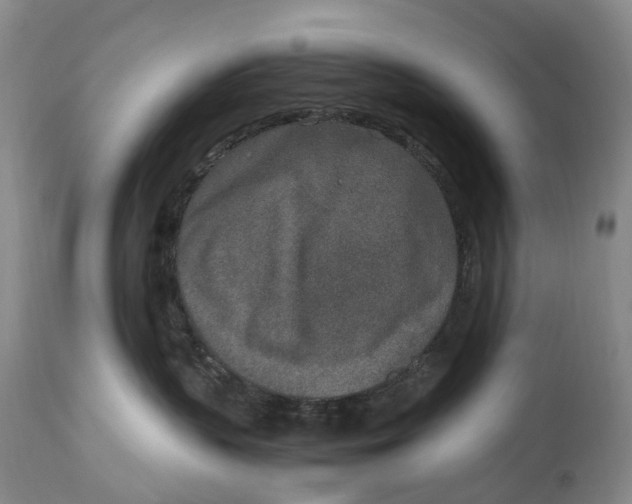 X0000115000383200911161542