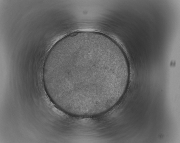 X0000115000385200911161542