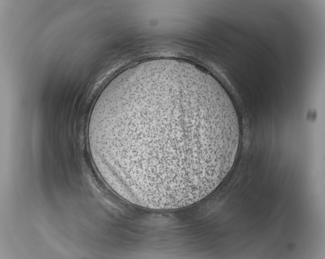 X0000115000386200911161542