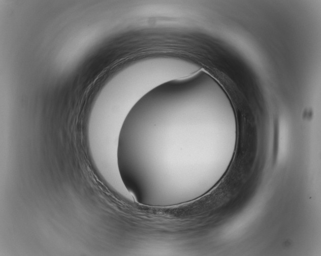 X0000115000387200911161542