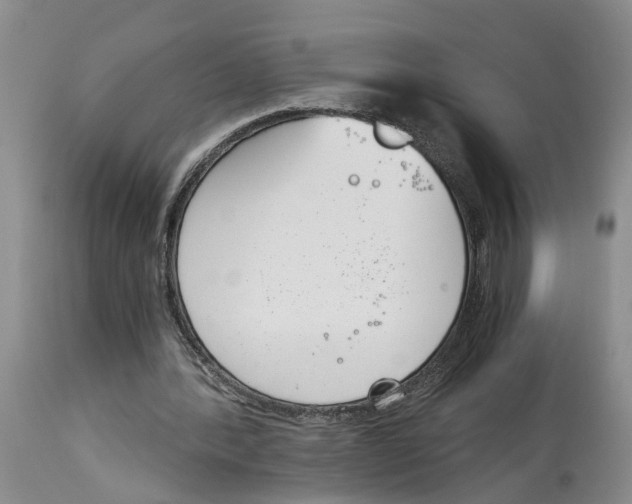 X0000115000388200911161542