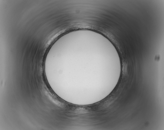 X0000115000390200911161542