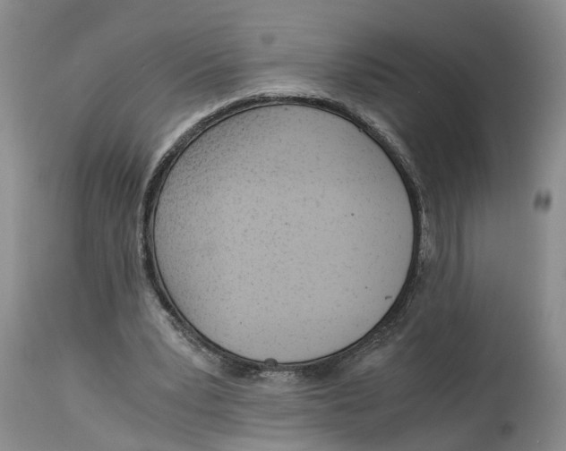 X0000115000391200911161542